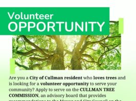 City of Cullman seeks volunteers for Tree Commission