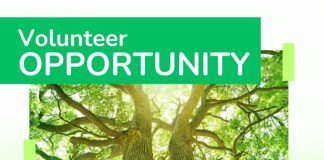 City of Cullman seeks volunteers for Tree Commission