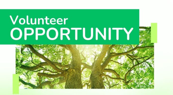 City of Cullman seeks volunteers for Tree Commission