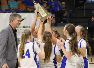 COUNTY TOURNAMENT: Ellis’ all-around game pushes No. 2 Cold Springs to win the JV girls county championship 66-34 over no. 5 Holly Pond