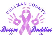 Bosom Buddies warns community about unauthorized use of name (Bosom Buddies Foundation)