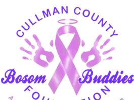Bosom Buddies warns community about unauthorized use of name (Bosom Buddies Foundation)
