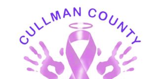 Bosom Buddies warns community about unauthorized use of name (Bosom Buddies Foundation)