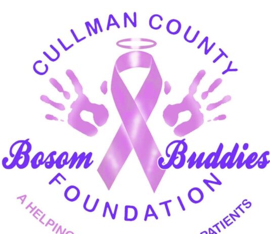 Bosom Buddies warns community about unauthorized use of name (Bosom Buddies Foundation)