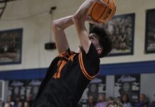 PREP BASKETBALL: Meek completes season sweep of Addison behind a Ferguson double-double