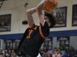 PREP BASKETBALL: Meek completes season sweep of Addison behind a Ferguson double-double