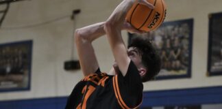 PREP BASKETBALL: Meek completes season sweep of Addison behind a Ferguson double-double