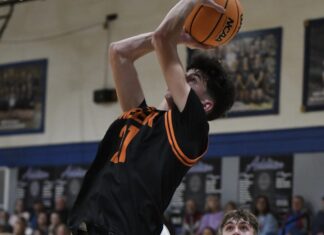 PREP BASKETBALL: Meek completes season sweep of Addison behind a Ferguson double-double