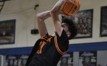 PREP BASKETBALL: Meek completes season sweep of Addison behind a Ferguson double-double