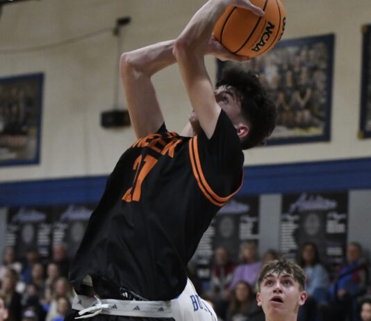 PREP BASKETBALL: Meek completes season sweep of Addison behind a Ferguson double-double