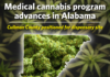 Medical cannabis program advances in Alabama; Cullman County positioned for dispensary site Alabama’s long-delayed medical cannabis program is moving closer to becoming operational following recent action by the Alabama Medical Cannabis Commission. Cullman County remains positioned as a future dispensary location after years of regulatory delays and legal challenges. (The Cullman Tribune)
