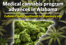 Medical cannabis program advances in Alabama; Cullman County positioned for dispensary site Alabama’s long-delayed medical cannabis program is moving closer to becoming operational following recent action by the Alabama Medical Cannabis Commission. Cullman County remains positioned as a future dispensary location after years of regulatory delays and legal challenges. (The Cullman Tribune)