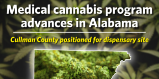 Medical cannabis program advances in Alabama; Cullman County positioned for dispensary site Alabama’s long-delayed medical cannabis program is moving closer to becoming operational following recent action by the Alabama Medical Cannabis Commission. Cullman County remains positioned as a future dispensary location after years of regulatory delays and legal challenges. (The Cullman Tribune)