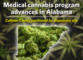 Medical cannabis program advances in Alabama; Cullman County positioned for dispensary site Alabama’s long-delayed medical cannabis program is moving closer to becoming operational following recent action by the Alabama Medical Cannabis Commission. Cullman County remains positioned as a future dispensary location after years of regulatory delays and legal challenges. (The Cullman Tribune)