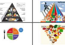 USDA’s 2025–2030 dietary guidelines include new inverted food pyramid