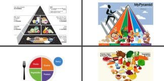 USDA’s 2025–2030 dietary guidelines include new inverted food pyramid