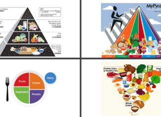 USDA’s 2025–2030 dietary guidelines include new inverted food pyramid