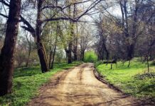 Op-Ed: A good personÂ