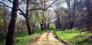 Op-Ed: A good person