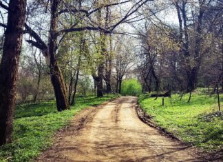 Op-Ed: A good person