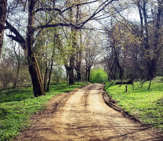 Op-Ed: A good person