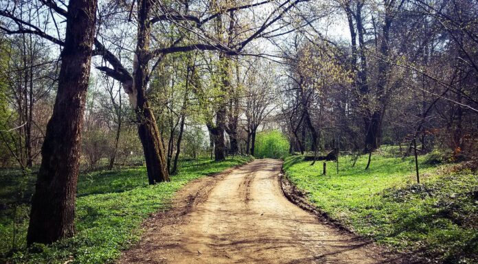 Op-Ed: A good person