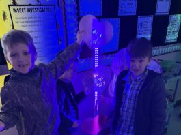 CCPS turns lights on – and off – for glowing STEM lesson