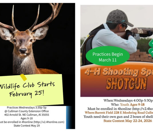 Cullman 4-H Wildlife and Shotgun Clubs set to begin practices