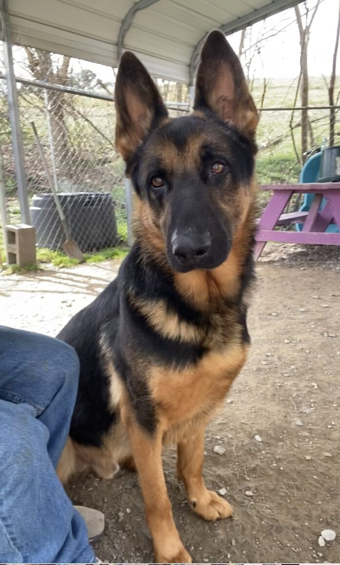 5F83BD1F-015F-429C-B71A-3E97AFA1549D