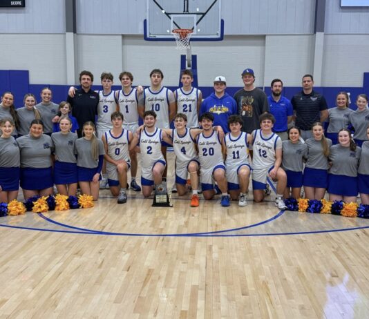 PREP BASKETBALL: Cold Springs Lady Eagles, Eagles secure Class 2A, Area 11 championships with wins over Falkville