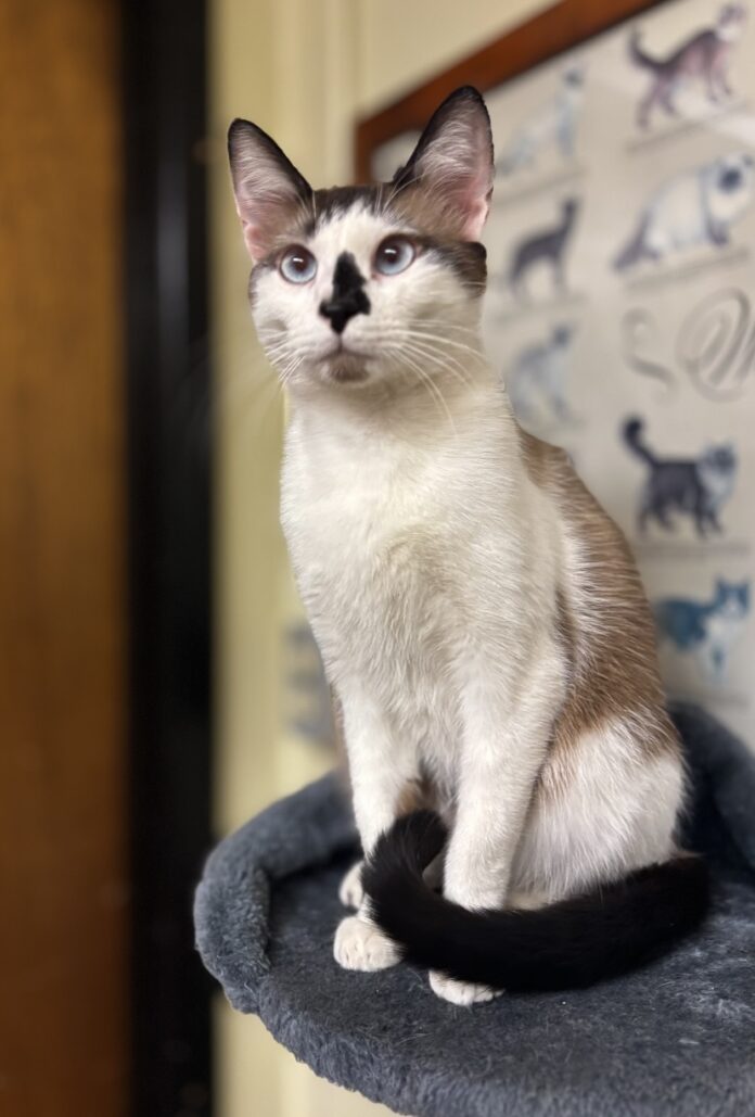 B4D00EA3-BB0E-4B07-82C4-D530FE52AE19