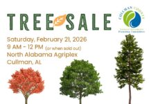 Native Tree Sale set for Feb. 21 at Agriplex