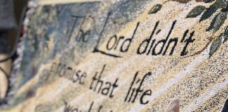 Pet of the Week: Gambino, a gentle soul with personality plusÂ