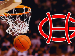 PREP BASKETBALL: Priceville holds off Good Hope in top-10 girls matchup, 52-49