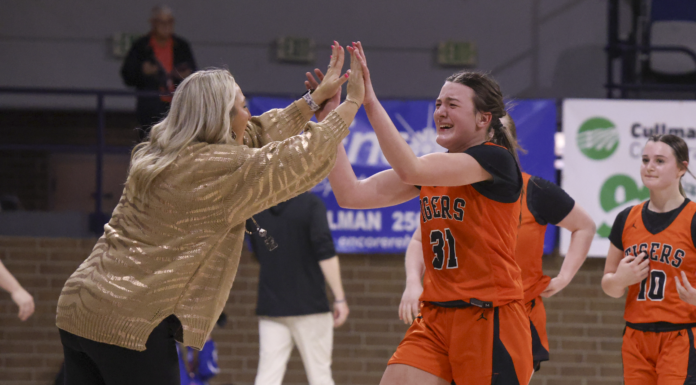 PREP BASKETBALL: Meek Lady Tigers earn Elite Eight appearance with 63-51 win over Brilliant at Regionals