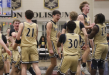PREP BASKETBALL: Cullman wins its’ fifth straight area title with a tight 47-43 win over Jasper
