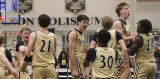 PREP BASKETBALL: Cullman wins its fifth straight area title under Stuedeman with a tight 47-43 victory over Jasper
