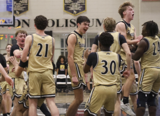 PREP BASKETBALL: Cullman wins its fifth straight area title under Stuedeman with a tight 47-43 victory over Jasper