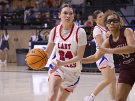 PREP BASKETBALL: Vinemont fights back, but comes up short in 47-45 loss to Lauderdale Co. in the Sweet Sixteen