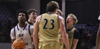 PREP BASKETBALL: Cullman collects 53-41 win over Clay-Chalkville, advances to Elite Eight for third time in five seasons