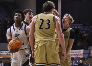 PREP BASKETBALL: Cullman collects 53-41 win over Clay-Chalkville, advances to Elite Eight for third time in five seasons