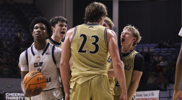 PREP BASKETBALL: Cullman collects 53-41 win over Clay-Chalkville, advances to Elite Eight for third time in five seasons