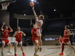 PREP BASKETBALL: Area tournament games set to tip off tomorrow night