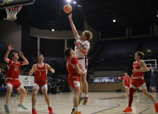 PREP BASKETBALL: Area tournament games set to tip off tomorrow night