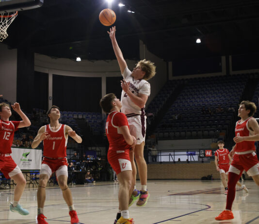 PREP BASKETBALL: Area tournament games set to tip off tomorrow night