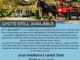 Spots still available for WSCC Alumni Association 2026 Southern Coastal Charm Tour