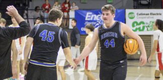 PREP BASKETBALL: Addison overcomes shooting woes, earns first Elite Eight berth since 1972 with 47-40 win over Marion Co.