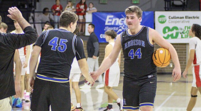 PREP BASKETBALL: Addison overcomes shooting woes, earns first Elite Eight berth since 1972 with 47-40 win over Marion Co.