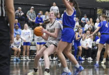 PREP BASKETBALL: Lady Bearcats lose 52-50 heartbreaker to Mortimer Jordan in 6A, Area 13 championship