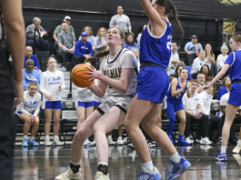 PREP BASKETBALL: Lady Bearcats lose 52-50 heartbreaker to Mortimer Jordan in 6A, Area 13 championship